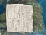 10 kg Southern Fried kipfilets 120 g – doos van 10 × 1 kg - Afbeelding 3